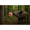 Himalajska kamena so sa kanapom za divljač i domaće životinje - lizalica od 3-4 kg